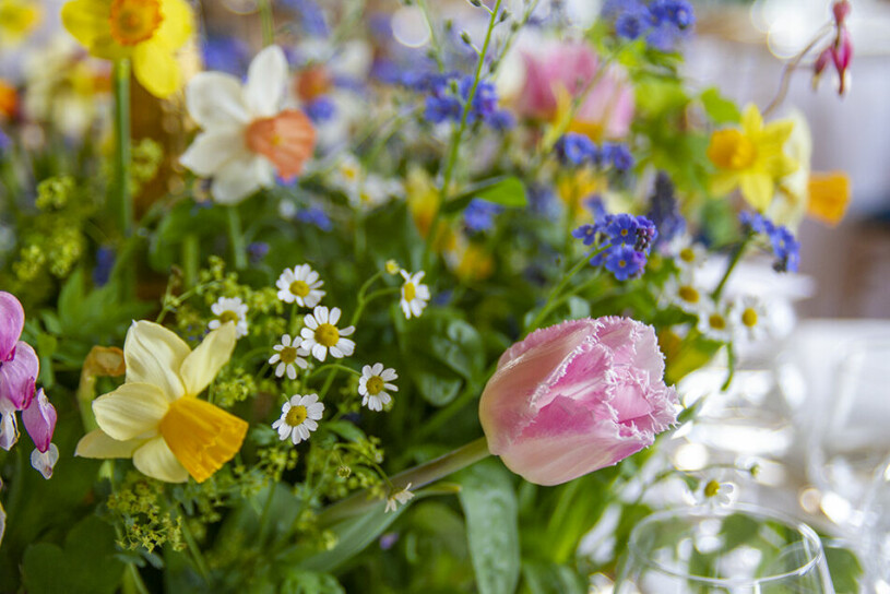 Borden var smyckade med blomster på temat ”förvildad trädgårsrabatt” och innehöll bland annat förgätmigej, löjtnantshjärta, pärlhyacint, tulpan och daggkåpa. Sverigemiddagen 2022