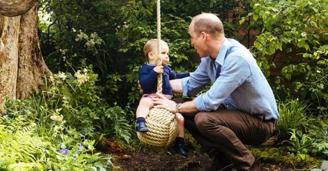 prins William Louis