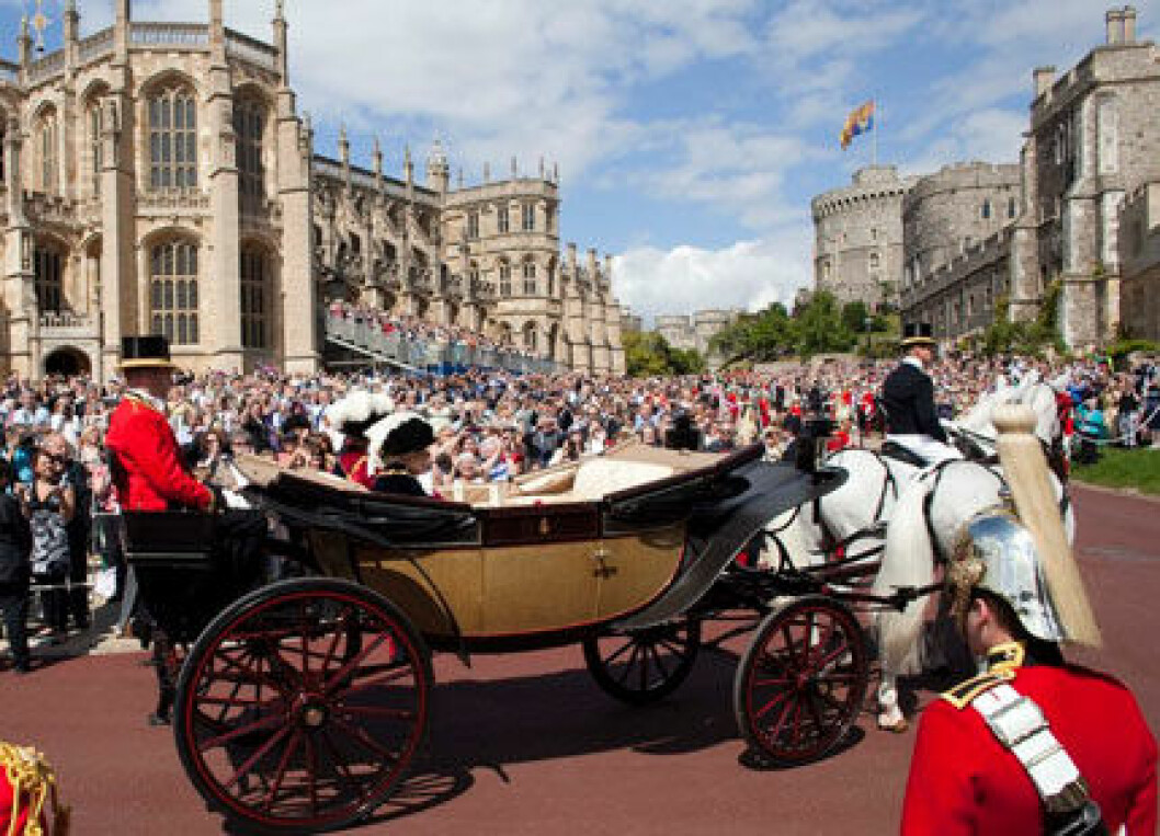 windsor-3